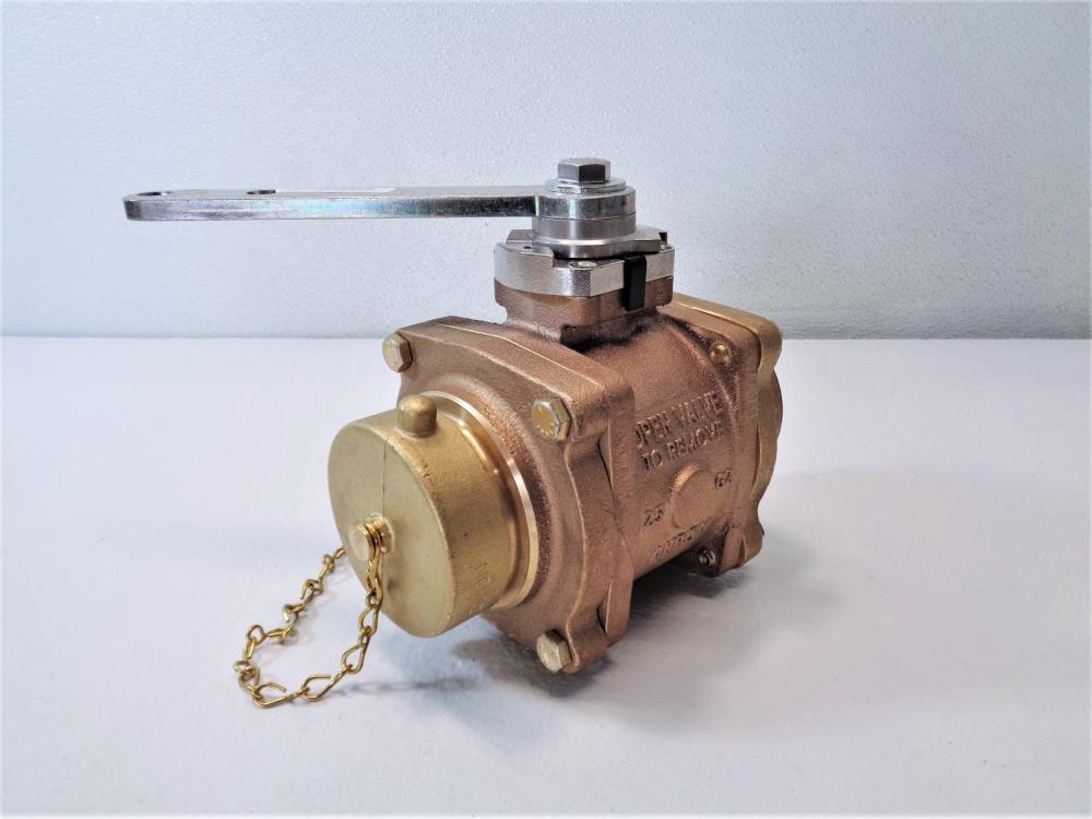 Akron Brass 2.5" MNPT x 2.5" FNPT Heavy Duty Swing-Out Valve 88250119